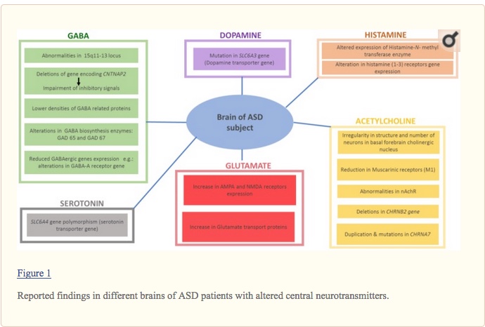 Neuro trans ASD
